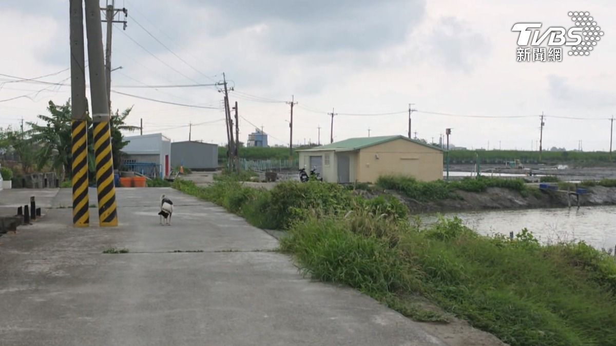現場還有魚塭、鐵皮屋竊佔、魚廢水惡臭等問題，違占情況長達10多年（圖／TVBS）