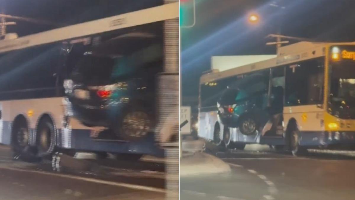 有片/澳洲汽車暴衝「攔腰插進公車」畫面曝! 女駕駛嚇到休克