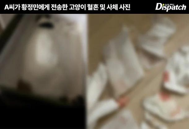 A女不僅文字轟炸,還傳送許多恐怖照片。(圖/翻攝自Dispatch)