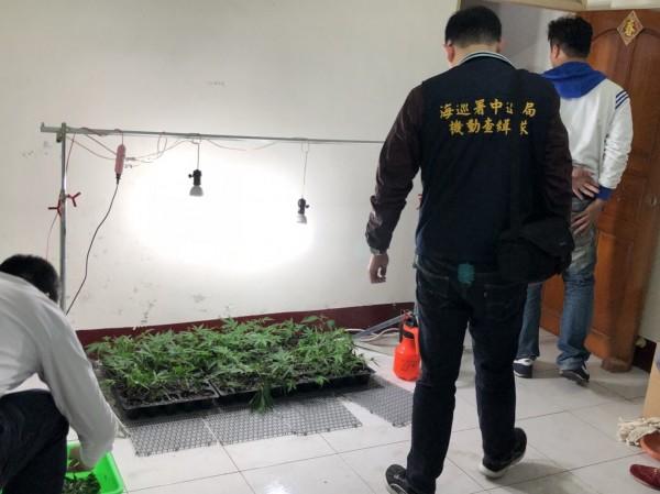透天厝打造溫室 種大麻搶新年商機