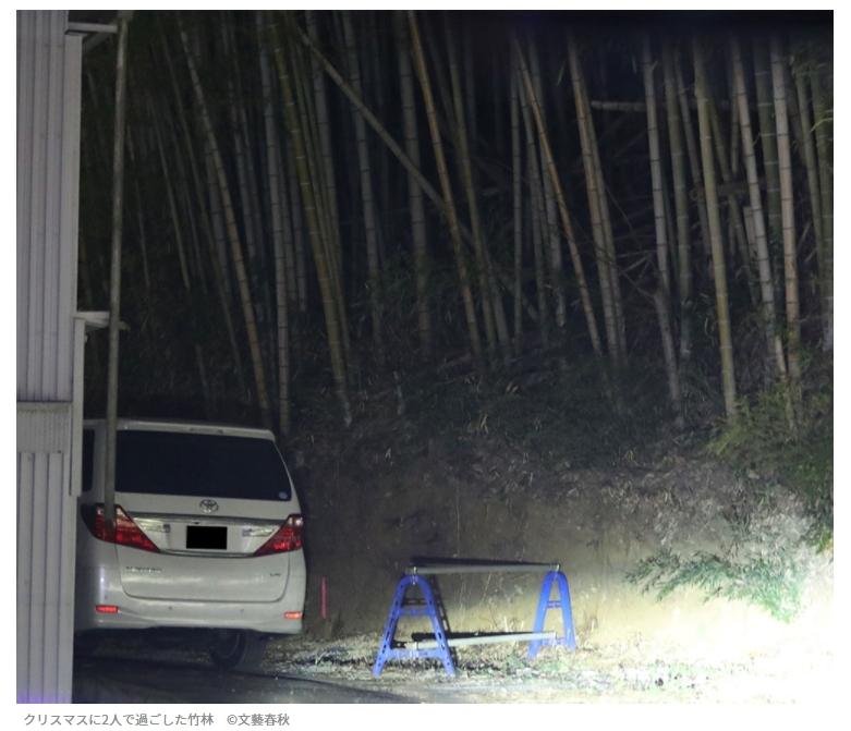 《週刊文春》拍到秋元主播車震的地點,除了圖示的竹林,也有堆肥小屋。(翻攝《週刊文春》網站)