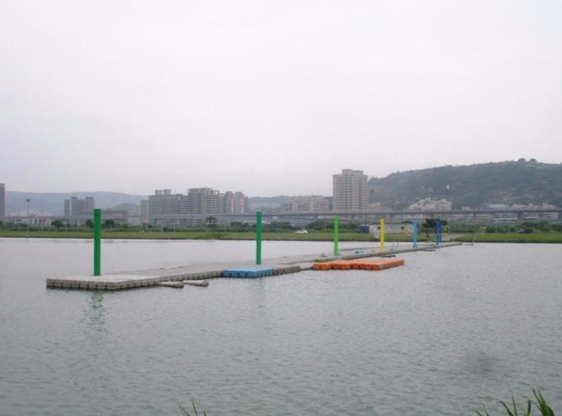 【死魚的怨念】放生變殺生 新北微風運河死魚哀鳴