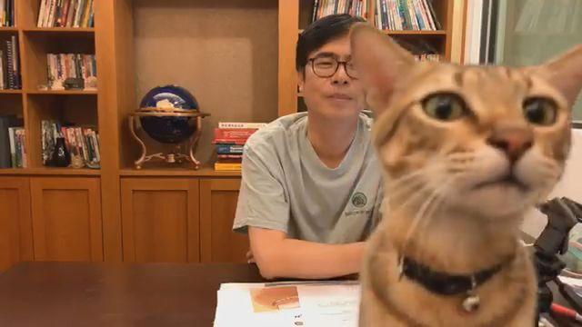 女兒打電話只關心愛貓　陳其邁笑嘆「地位不如陳小米」