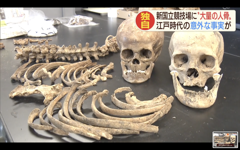 驚！東京奧運主場館　基地下方挖出187具骨骸