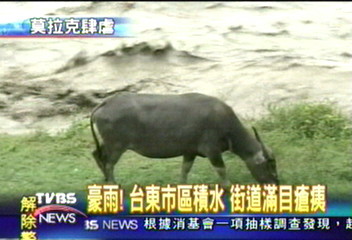 豪雨!台東市區積水 街道滿目瘡痍