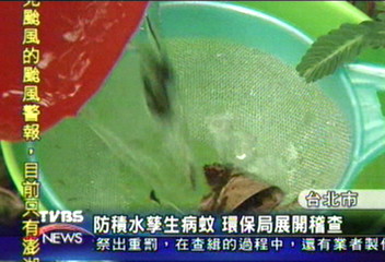 防積水孳生病蚊 環保局展開稽查