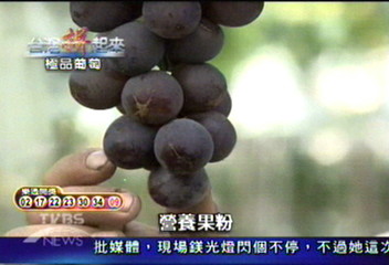 【台灣拼起來】台灣巨峰葡萄　成功闖進國際市場　