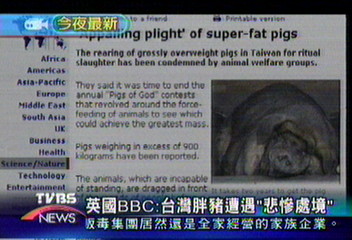 台灣神豬爭議 國外媒體大篇幅報導