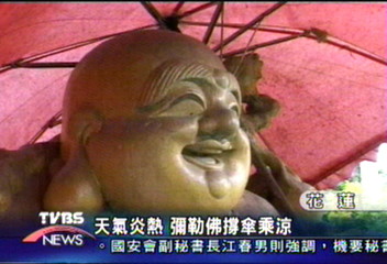 落難神明 大樹下安身立命