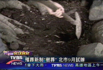 殯葬新制「樹葬」 北市9月試辦