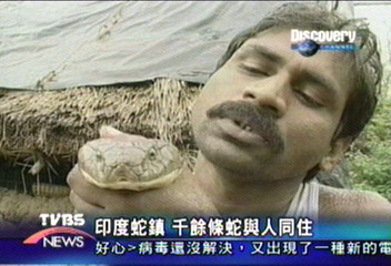 【Discovery】印度蛇鎮 千餘條蛇與人同住