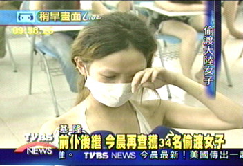 前仆後繼 逮34偷渡女3金絲貓