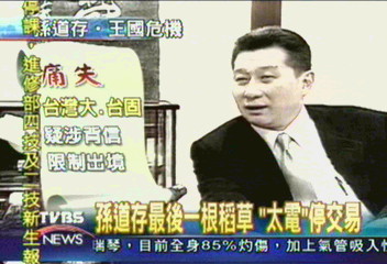 孫道存放任轉投資　事業高峰走到谷底