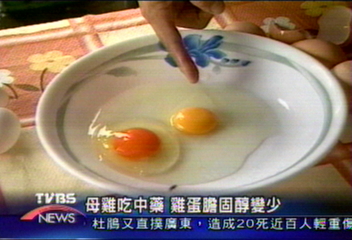 母雞吃中藥 雞蛋膽固醇變少