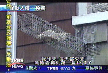 野生動物闖民宅　民眾不堪其擾
