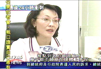 【影子內閣卡位戰】中常委改選　眾家立委爭搶第一