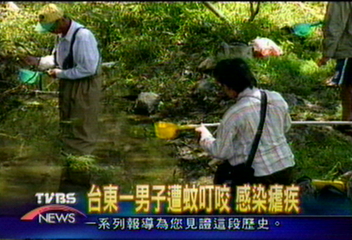 台東一男子遭蚊叮咬 感染瘧疾