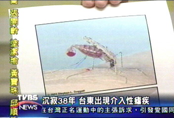 沉寂38年　台東出現介入性瘧疾