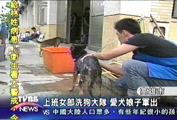 無法養狗遺憾 民眾組「洗狗大隊」