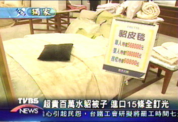 〈獨家〉台灣最貴 108萬水貂被子