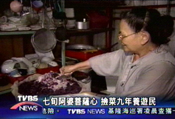七旬阿婆菩薩心　撿菜九年養遊民