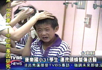 康樂國小31學生 遭虎頭蜂螫傷送醫
