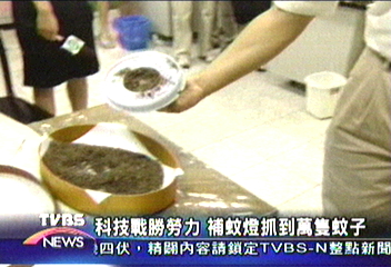 宣導登革熱滅蚊 學校舉行補蚊大賽