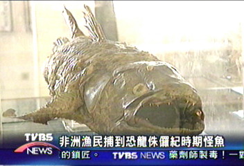 非洲漁民捕到 恐龍侏儸紀時期怪魚
