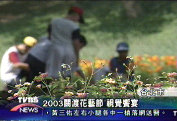 2003關渡花藝節　視覺饗宴