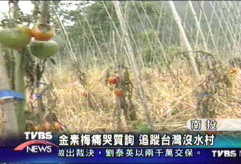 羅娜村缺水8年 八成作物廢耕