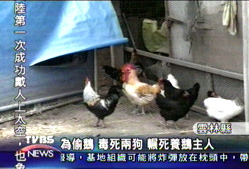 為偷鵝　毒死兩狗　輾死養鵝主人