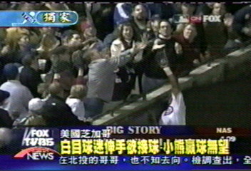 〈獨家〉小熊隊 傳難脫「山羊詛咒」噩運?