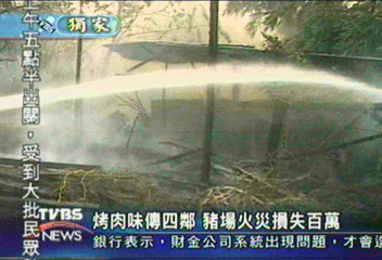 〈獨家〉豬舍大火豬隻哀嚎　70多頭豬燒死