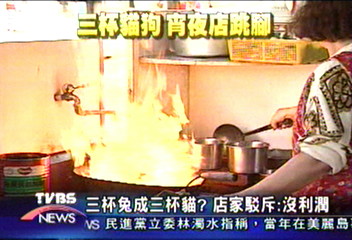 三杯兔用貓肉? 店家駁斥︰沒利潤