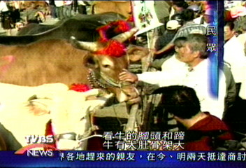 北港牛墟文化節 農村風情再現