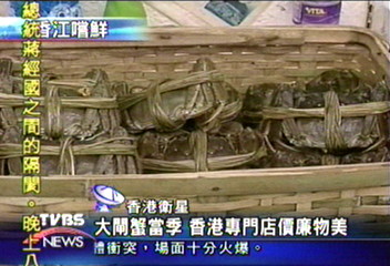 大閘蟹當季 香港專門店價廉物美