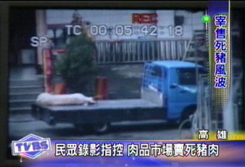 獸醫師:「緊迫豬」非死豬 對人體無害