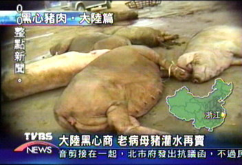 大陸黑心商　老病母豬灌水再賣