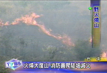 火燒大度山　消防員爬陡坡滅火