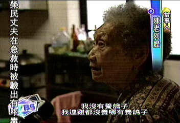 〈獨家〉養鴿子被開單　民眾：冤枉啊！我沒養