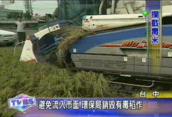 4公頃稻作含毒　工業廢水惹禍