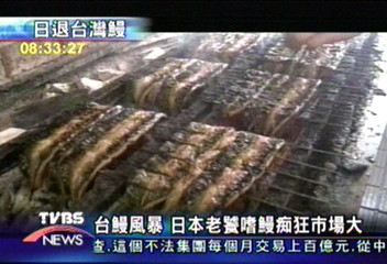 東京進口台灣鰻魚　年逾35億元