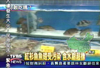 紅衫魚魚翅受污染 含水銀超標