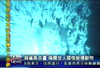 與鯊魚共畫 喚醒世人關懷絕種動物