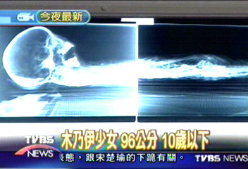 埃及古文物展是何時?哪裡展出?