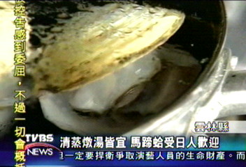 警察變漁民 養殖馬蹄蛤5年有成