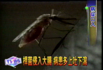 環境衛生不佳 最易感染痢疾