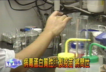 病毒蛋白質胜肽製疫苗　將問世