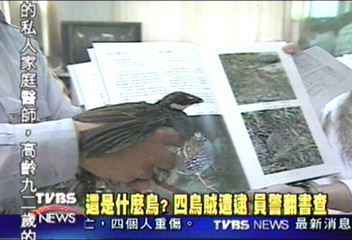 這是什麼鳥？ 四鳥賊遭逮　員警翻書查