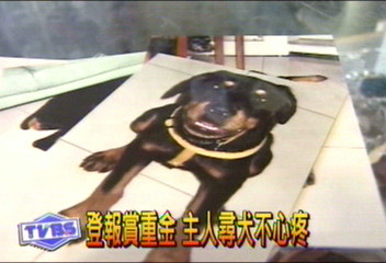 重賞盼勇夫 尋愛犬 飼主懸賞十萬